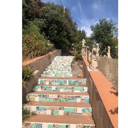 Welcomely - Paola B Costa Rei