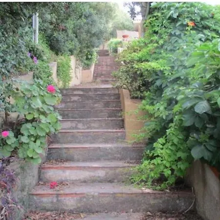 Welcomely - Paola B * 哥斯达雷